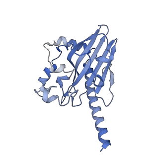 10175_6sg9_FV_v1-1
Head domain of the mt-SSU assemblosome from Trypanosoma brucei