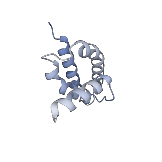 10175_6sg9_FY_v1-1
Head domain of the mt-SSU assemblosome from Trypanosoma brucei
