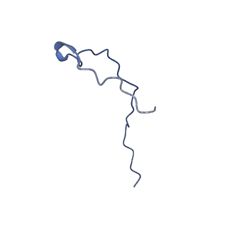 10175_6sg9_Fa_v1-1
Head domain of the mt-SSU assemblosome from Trypanosoma brucei
