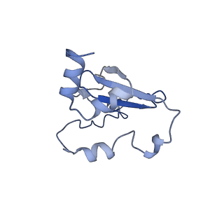 10175_6sg9_Fe_v1-1
Head domain of the mt-SSU assemblosome from Trypanosoma brucei