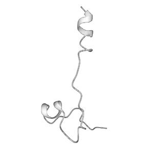 10175_6sg9_Ub_v1-1
Head domain of the mt-SSU assemblosome from Trypanosoma brucei