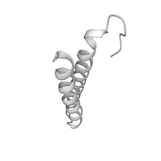 10175_6sg9_Ud_v1-1
Head domain of the mt-SSU assemblosome from Trypanosoma brucei