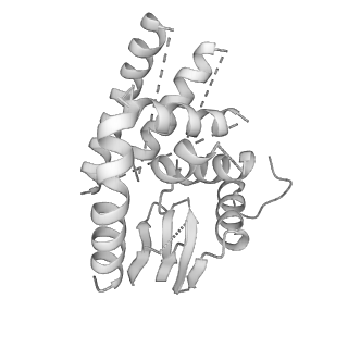 10175_6sg9_Ug_v1-1
Head domain of the mt-SSU assemblosome from Trypanosoma brucei