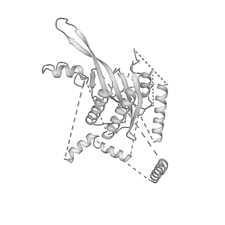 10175_6sg9_Uh_v1-1
Head domain of the mt-SSU assemblosome from Trypanosoma brucei