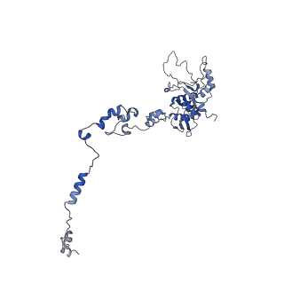 10177_6sga_CE_v1-1
Body domain of the mt-SSU assemblosome from Trypanosoma brucei