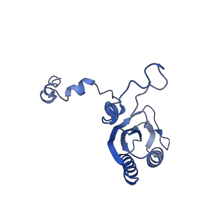 10177_6sga_CF_v1-1
Body domain of the mt-SSU assemblosome from Trypanosoma brucei
