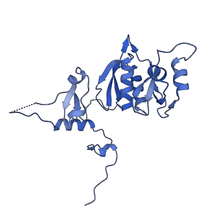 10177_6sga_CH_v1-1
Body domain of the mt-SSU assemblosome from Trypanosoma brucei