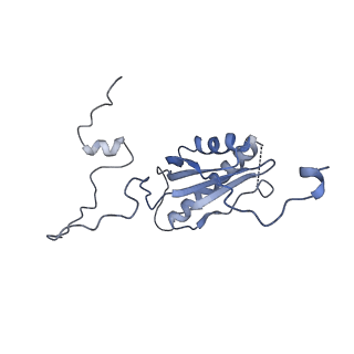 10177_6sga_CK_v1-1
Body domain of the mt-SSU assemblosome from Trypanosoma brucei