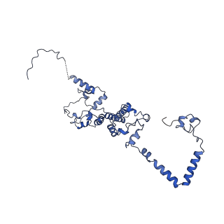 10177_6sga_CO_v1-1
Body domain of the mt-SSU assemblosome from Trypanosoma brucei