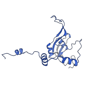 10177_6sga_CP_v1-1
Body domain of the mt-SSU assemblosome from Trypanosoma brucei