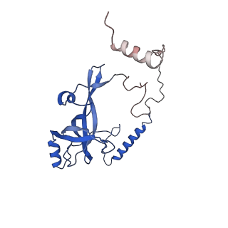 10177_6sga_CQ_v1-1
Body domain of the mt-SSU assemblosome from Trypanosoma brucei