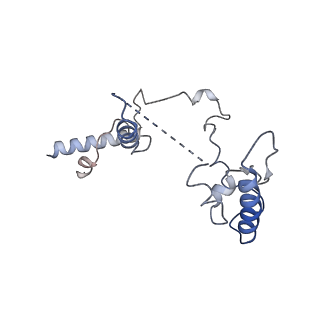 10177_6sga_CR_v1-1
Body domain of the mt-SSU assemblosome from Trypanosoma brucei