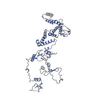 10177_6sga_Ca_v1-1
Body domain of the mt-SSU assemblosome from Trypanosoma brucei
