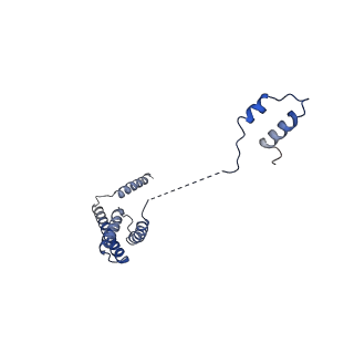 10177_6sga_Cb_v1-1
Body domain of the mt-SSU assemblosome from Trypanosoma brucei