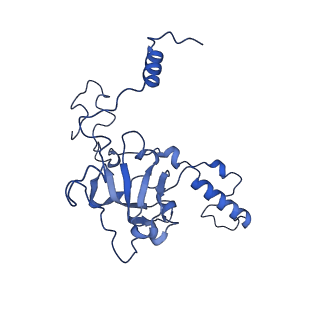 10177_6sga_Cj_v1-1
Body domain of the mt-SSU assemblosome from Trypanosoma brucei