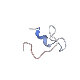 10177_6sga_Cn_v1-1
Body domain of the mt-SSU assemblosome from Trypanosoma brucei
