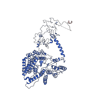 10177_6sga_DD_v1-1
Body domain of the mt-SSU assemblosome from Trypanosoma brucei