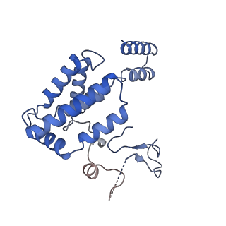 10177_6sga_DL_v1-1
Body domain of the mt-SSU assemblosome from Trypanosoma brucei
