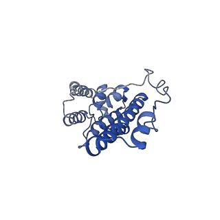 10177_6sga_DO_v1-1
Body domain of the mt-SSU assemblosome from Trypanosoma brucei