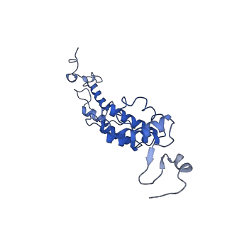 10177_6sga_DP_v1-1
Body domain of the mt-SSU assemblosome from Trypanosoma brucei