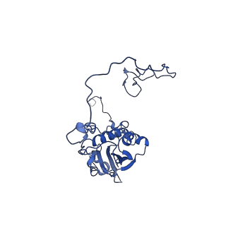 10177_6sga_DR_v1-1
Body domain of the mt-SSU assemblosome from Trypanosoma brucei