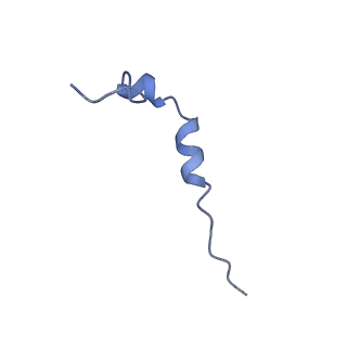 10177_6sga_DZ_v1-1
Body domain of the mt-SSU assemblosome from Trypanosoma brucei