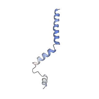 10177_6sga_F1_v1-1
Body domain of the mt-SSU assemblosome from Trypanosoma brucei