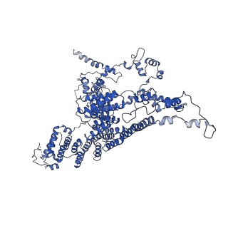 10177_6sga_F2_v1-1
Body domain of the mt-SSU assemblosome from Trypanosoma brucei