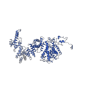 10177_6sga_F3_v1-1
Body domain of the mt-SSU assemblosome from Trypanosoma brucei