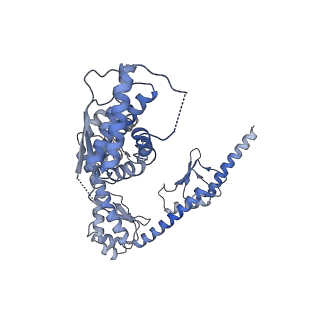10177_6sga_F6_v1-1
Body domain of the mt-SSU assemblosome from Trypanosoma brucei