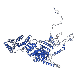10177_6sga_F7_v1-1
Body domain of the mt-SSU assemblosome from Trypanosoma brucei