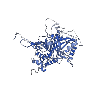 10177_6sga_F8_v1-1
Body domain of the mt-SSU assemblosome from Trypanosoma brucei