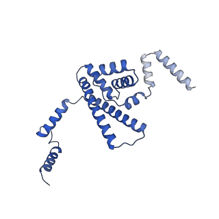 10177_6sga_F9_v1-1
Body domain of the mt-SSU assemblosome from Trypanosoma brucei