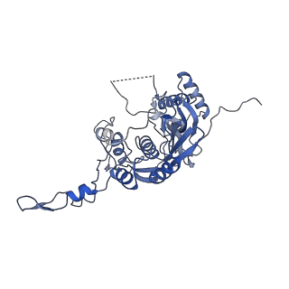 10177_6sga_FB_v1-1
Body domain of the mt-SSU assemblosome from Trypanosoma brucei
