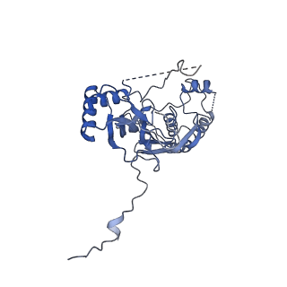 10177_6sga_FC_v1-1
Body domain of the mt-SSU assemblosome from Trypanosoma brucei