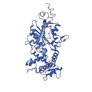 10177_6sga_FE_v1-1
Body domain of the mt-SSU assemblosome from Trypanosoma brucei