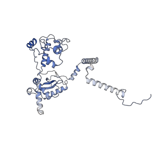 10177_6sga_FJ_v1-1
Body domain of the mt-SSU assemblosome from Trypanosoma brucei