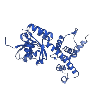 10177_6sga_FM_v1-1
Body domain of the mt-SSU assemblosome from Trypanosoma brucei
