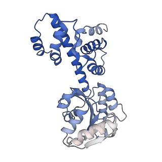 10177_6sga_FN_v1-1
Body domain of the mt-SSU assemblosome from Trypanosoma brucei