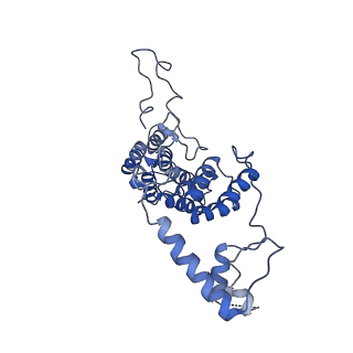 10177_6sga_FO_v1-1
Body domain of the mt-SSU assemblosome from Trypanosoma brucei