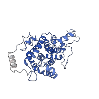 10177_6sga_FP_v1-1
Body domain of the mt-SSU assemblosome from Trypanosoma brucei