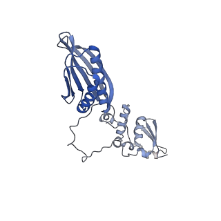 10177_6sga_FQ_v1-1
Body domain of the mt-SSU assemblosome from Trypanosoma brucei