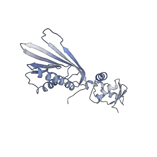 10177_6sga_FR_v1-1
Body domain of the mt-SSU assemblosome from Trypanosoma brucei