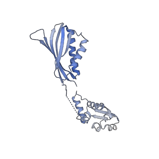 10177_6sga_FT_v1-1
Body domain of the mt-SSU assemblosome from Trypanosoma brucei
