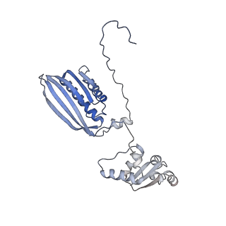 10177_6sga_FU_v1-1
Body domain of the mt-SSU assemblosome from Trypanosoma brucei