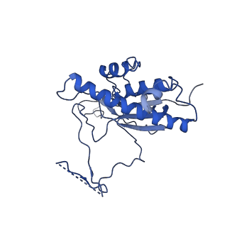 10177_6sga_FW_v1-1
Body domain of the mt-SSU assemblosome from Trypanosoma brucei