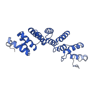 10177_6sga_FX_v1-1
Body domain of the mt-SSU assemblosome from Trypanosoma brucei