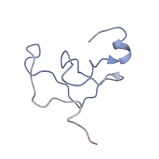 10177_6sga_FY_v1-1
Body domain of the mt-SSU assemblosome from Trypanosoma brucei