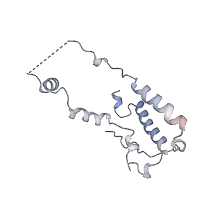 10177_6sga_FZ_v1-1
Body domain of the mt-SSU assemblosome from Trypanosoma brucei