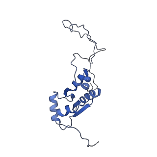 10177_6sga_Fa_v1-1
Body domain of the mt-SSU assemblosome from Trypanosoma brucei